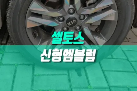 셀토스 신형 기아 로고 KIA 엠블럼 교환 작업, 신차 느낌 튜닝 / 용인,동탄,수원,광교
