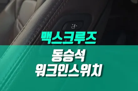 맥스크루즈 패밀리카 필수 조수석 매너스위치 워크인 디바이스 버튼 매립 / 용인 농서동
