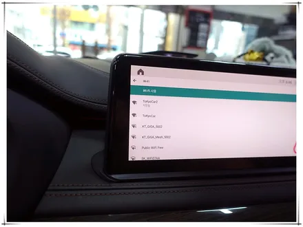 F16 BMW X6M50d - 10.25 안드로이드 내비게이션 설치