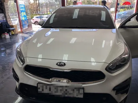 기아 K3 순정네비게이션 선택하지 못했다면 더 나은 방법 BF700G