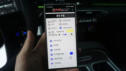 제주 디올뉴 팰리세이드 엠비언트 글로우 AIR 제품으로 순정 연동~! / 제주