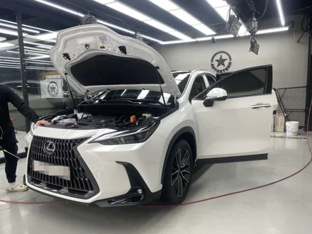 신형 렉서스NX350h ☆ 안양 유리막코팅으로 차량 관리를 손쉽게! / 안양,과천,광명,의왕