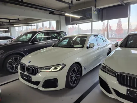 안양 BMW의 성지!!! 아우토스턴(카포먼스) 찾는 이유! / 안양,과천,광명,의왕