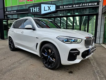 BMW X5 본넷, 헤드라이트, 사이드미러, 필러, 도어스텝 PPF로 보호하기 / 안양,과천,광명,의왕