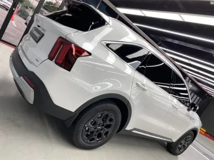 동안구 쏘렌토 신차검수랑 썬팅이 고민이시라면...? / 안양,과천,광명,의왕