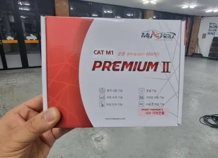 [구리,남양주]더뉴카니발  원격시동 마이키 프리미엄 장착 / 경기 남양주