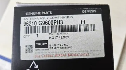 제네시스 G70 루프스킨 끝판왕! 화성 블랙 PPF 시공과 순정 샤크 안테나 교체. / 화성, 수원, 동탄