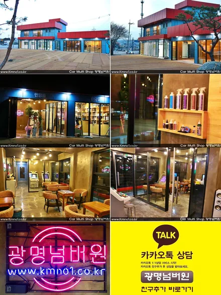 [ 레이노썬팅 ] - 올뉴/더뉴카니발 - 크로마9