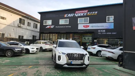 팰리세이드 노면충격,방지턱넘을때,노면이 고르지 못한곳 지날때 덜컹거림까지 감소시켜주는 노이즈캐쳐 장착 / 고양, 일산, 김포, 파주