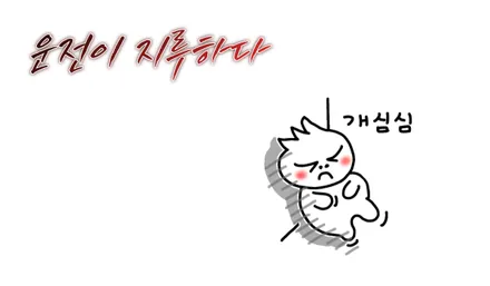 가격부터 갬성까지 완전 만족스러운 쏘렌토 하이브리드노블레스 엠비언트 / 고양, 일산, 김포, 파주