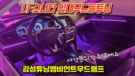 LF소나타 무드등튜닝 엠비언트라이트 시공으로 실내감성이 좋아졌습니다 / 고양, 일산, 김포, 파주
