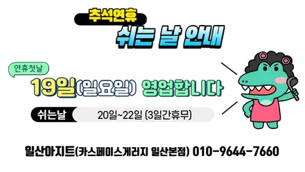 알콘브레이크6P & 380mm 디스크 장착(팰리세이드) / 고양, 일산, 김포, 파주