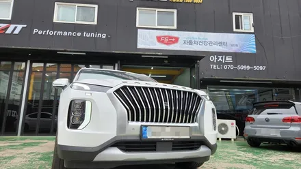 팰리세이드 튜닝그릴 장착 모모리얼 세로그릴 / 고양, 일산, 김포, 파주