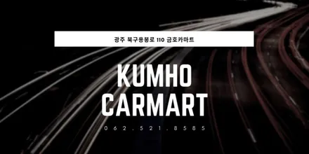에쿠스 운전석 사이드미러 접이모터 수리해드림 / 광주 북구 중흥동