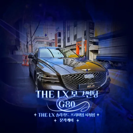 G80 울산신차패키지 THELX 보그 썬팅 가격은?? / 울산, 경남