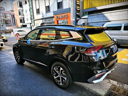 울산신차패키지 스포티지와 더엘엑스 솔라가드 보그 썬팅 / 울산, 경남