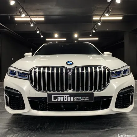 BMW THE7 탑폴리에 루프스킨, PPF STEP2 ( 용산 마포 ppf 루프스킨 ) / 서울 마포, 서대문, 영등포, 은평