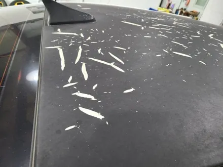 내차 루프가?? 어떻게할까??K3 루프스킨 제거 및 재시공_케이랩하우스 (케이랩스)에서!!! (마산 창원 진해 김해 자동차랩핑 전문)창원랩핑샵 / 창원시 진해구