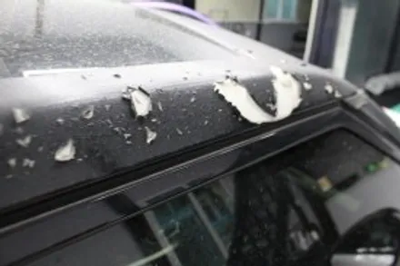 창원랩핑 - 손상된 루프스킨 제거 서두르세요~!! 루프스킨 제거는??케이랩하우스![진해랩핑, 마산랩핑, 경남랩핑, 루프스킨, 전체랩핑,부분랩핑, 광고랩핑]-창원랩핑샵 / 창원시 진해구
