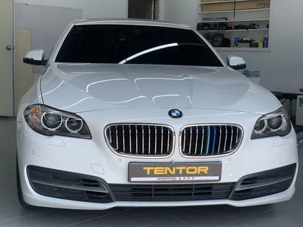 용인실내랩핑 전문 텐토르 BMW5시리즈 시공 소개 / 동탄