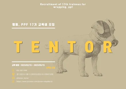 [ 자동차 랩핑, PPF 17기 교육생 모집 ] "텐토르 본점" 제대로 된 랩핑&PPF 전문적인 교육 이수를 받고 싶다면 클릭 클릭!!🔥🔥