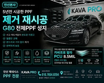 반월PPF 제네시스 G80 PPF 덕분에 본도장을 지키다