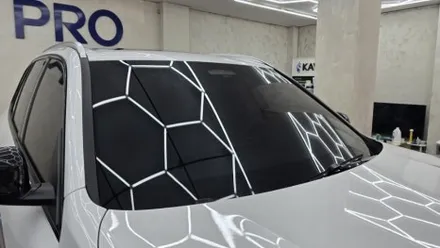 수원PPF BMW X5 PPF 전체 성지