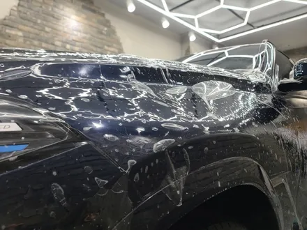 안산PPF NO.1 BMWX6 전체 전문