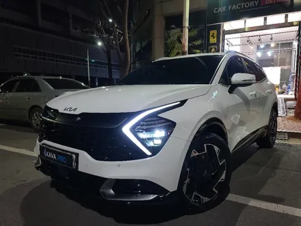 스포티지 NQ5 실내PPF 시공