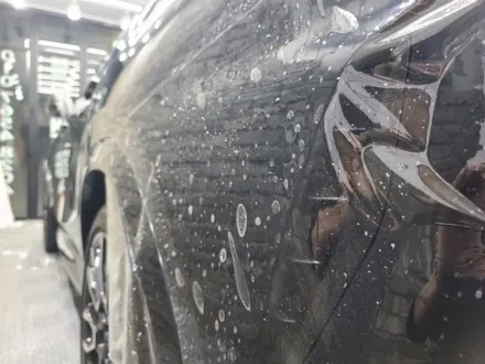 안산PPF NO.1 BMWX6 전체 전문