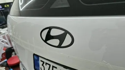 안산 팰리세이드 크롬죽이기 휠도색까지 한번에