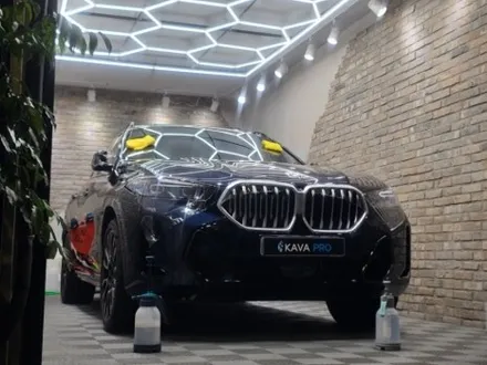 안산PPF NO.1 BMWX6 전체 전문