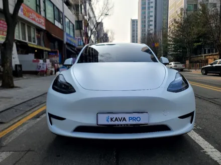 안산PPF 테슬라 모델Y 무광 전체PPF 보호와 동시 드레스업까지 한번에