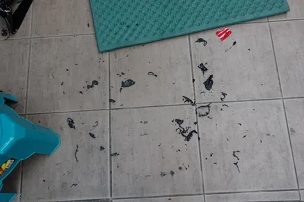 실내튜닝 기분전환 제네시스BH 3M1080 유광블랙 실내렙핑 시공 에쿠스기어봉 장착도 솔라가드프리미엄 진주점으로~ / 진주시 상대동