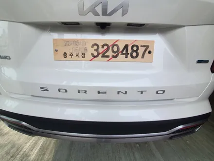 강릉 신차패키지 쏘렌토 하이브리드 레이노s9 시공 / 강원 강릉