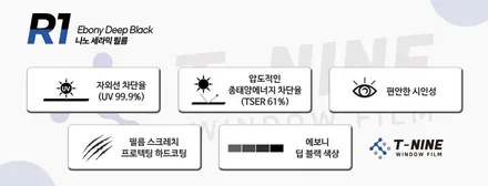 강릉썬팅 쏘렌토 전면유리 교환의 필요성 / 강원 강릉