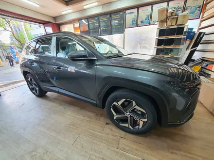 강릉 투싼 가성비 레이노s9으로 썬팅했어요 / 강원 강릉
