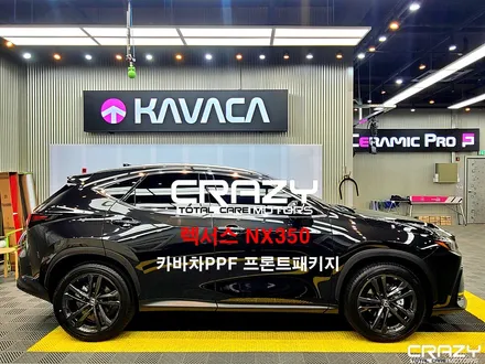 렉서스 NX350에 가장 어울리는 PPF는? / 카바차 / KAVACA / PPF / 대구PPF / 크레이지모터스 / 대구 수성구 중동