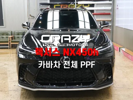 렉서스 NX 450h 카바차 전체 PPF 시공 후기 / 대구 수성구 중동