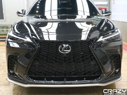 렉서스 NX 450h 카바차 전체 PPF 시공 후기 / 대구 수성구 중동