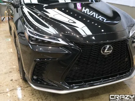 렉서스 NX 450h 카바차 전체 PPF 시공 후기 / 대구 수성구 중동