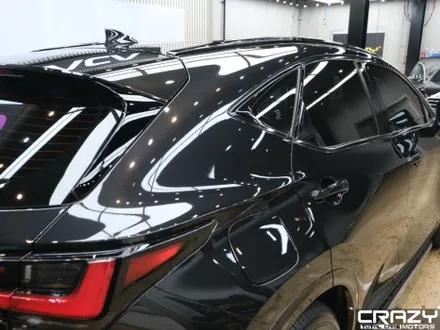 렉서스 NX 450h 카바차 전체 PPF 시공 후기 / 대구 수성구 중동