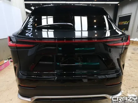 렉서스 NX 450h 카바차 전체 PPF 시공 후기 / 대구 수성구 중동