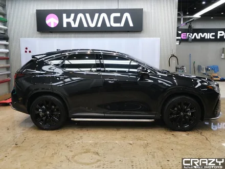 렉서스 NX 450h 카바차 전체 PPF 시공 후기 / 대구 수성구 중동