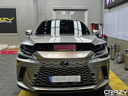 렉서스 RX350h 프론트패키지, 생활보호 PPF 시공 / 대구 수성구 중동