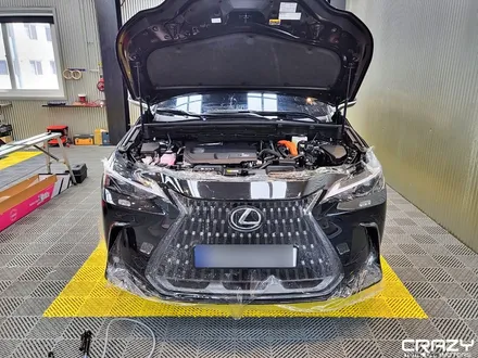 렉서스 NX350에 가장 어울리는 PPF는? / 카바차 / KAVACA / PPF / 대구PPF / 크레이지모터스 / 대구 수성구 중동