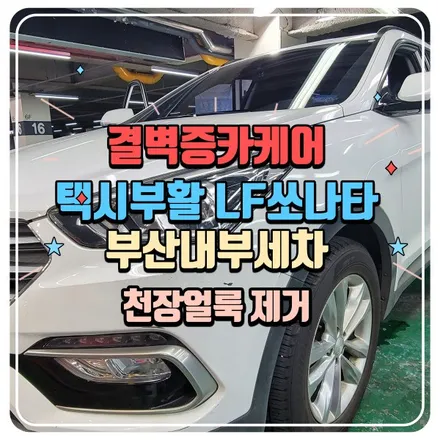 부산내부세차 택시부활 LF쏘나타 천장얼룩제거 / 부산 사상구 삼락동