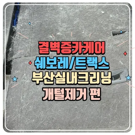 부산실내크리닝 결과물로 증명하는 트랙스 개털제거편 / 부산 사상구 삼락동