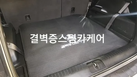 부산내부세차 정말 만족하려면 [중고차 올란도] / 부산 사상구 삼락동