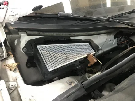 부산 에바크리닝 아우디 A4 악취제거하기 / 부산 사상구